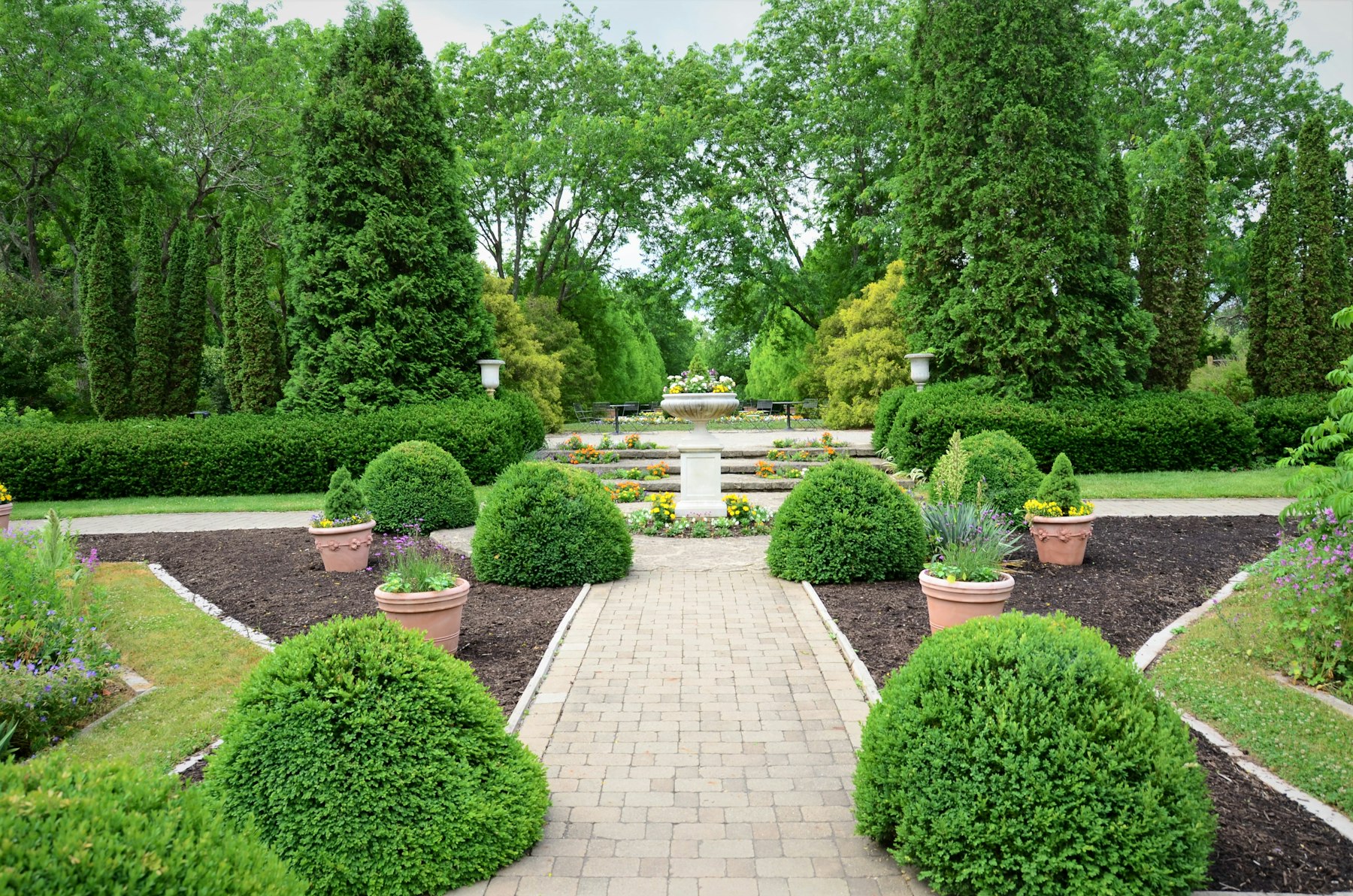Formal garden installation with a brick paver walkway, clipped boxwood spheres, terra cotta planters, and fresh mulch beds