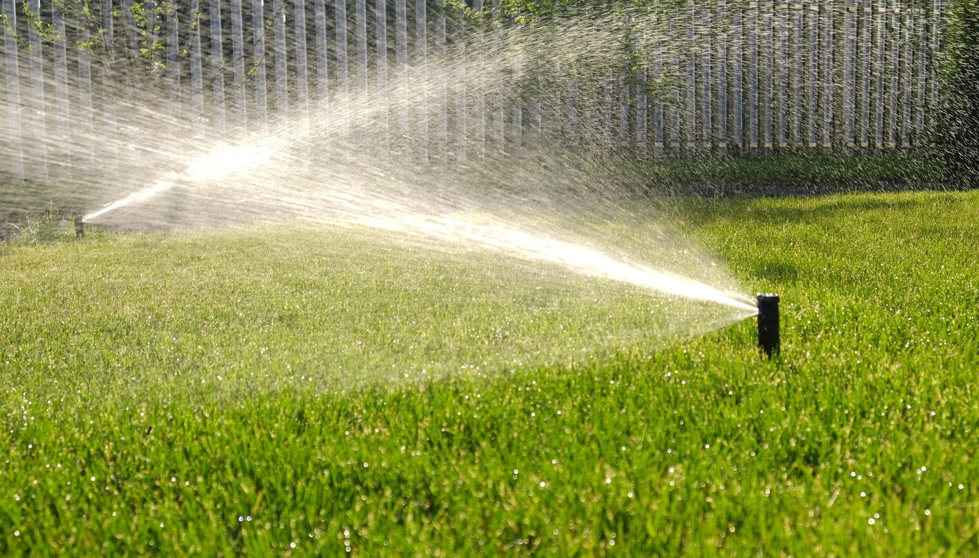 Sprinklers throwing wide arcs of water across a green lawn in morning light
